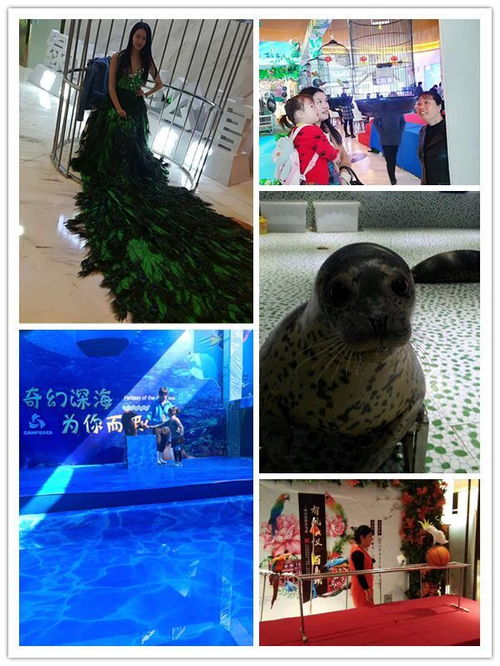 樟樹市馬戲團(tuán)表演出租哪有