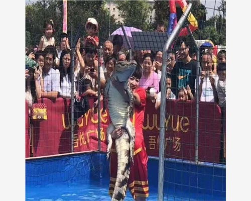 施秉縣出租海獅表演一場多少錢