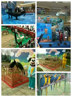 馬戲團(tuán)動物表演出租