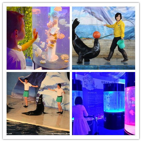 寧波出租海洋生物魚缸展合作共贏