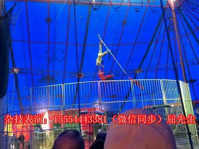 貴州黔東南苗族侗族自治州錦屏縣哪里有出租海獅的嗎?_山東誠(chéng)信動(dòng)物租賃 - 商國(guó)互聯(lián)網(wǎng)