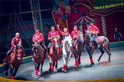 租賃動(dòng)物皇家馬戲團(tuán)商業(yè)慶典互動(dòng)暖場(chǎng)