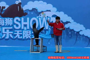 馬戲表演什么價(jià)格重慶馬戲團(tuán)表演租賃7天多少錢