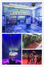 阜陽市百鳥園出租租賃馬戲團