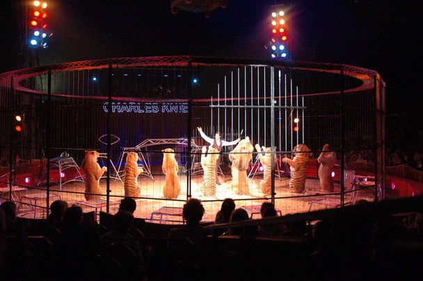 常年供應馬戲團雜技表演環(huán)球飛車雜技表演萌寵雜技租賃圖片_高清圖_細節(jié)圖