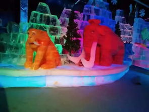 南昌互動科技展一手現(xiàn)貨出租出售,新穎冰雕展租賃