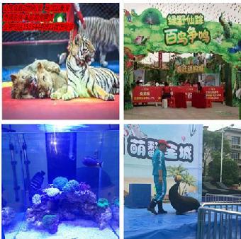 威海哪有鸚鵡表演出租,馬戲團表演租賃_志趣網(wǎng)