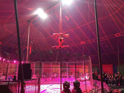 臨夏市馬戲團租賃表演