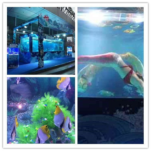 七臺河市美人魚表演與馬戲團租賃服務指南