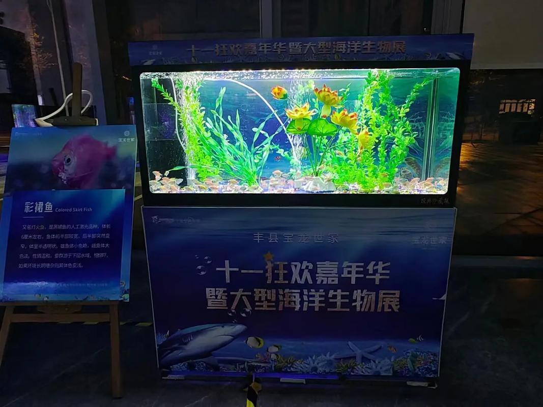 專業(yè)動(dòng)物出租服務(wù) 馬戲團(tuán)表演、海獅與羊駝租賃解決方案